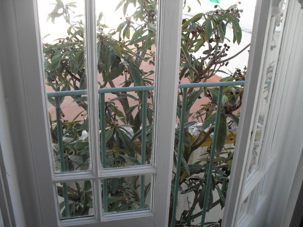 Casa Verde Ferreira Do Alentejo Room photo